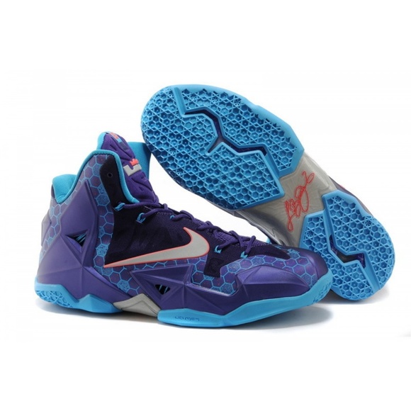 lebron 11 summit lake hornets